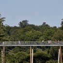 In Augenhöhe mit den Bäumen, der Stihl Treetop Walkway von Glenn Howells Architects 
