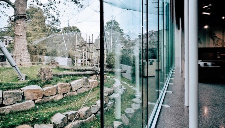 Studio Farris Architects Neue Räume für den Zoo von Antwerpen
