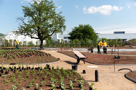 Piet Oudolf gestaltet den Perennial Garden des Vitra Campus in Weil am Rhein 
