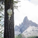 Kunst und Landschaft in Italien - von den Dolomiten bis zum Nationalpark Abruzzen, Latium und Molise