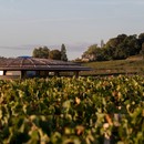 Foster + Partners Le Dôme Winery Bordeaux France

