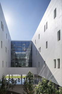 Chyutin: The National Institute for Biotechnology in the Negev 