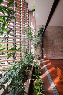 H&P Architects: Tube-House und “tropische Höhle” in Vietnam
