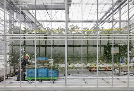 van Bergen Kolpa + META: Agrotopia Forschungszentrum für städtischen Gartenbau
