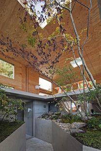 UID architects: Nest, der Wald als Haus
