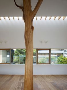 Ogawa: Natur und Architektur im Baumhaus mit Bäumen in Kagawa