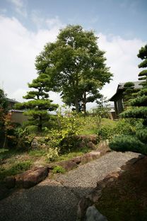 Ogawa: Natur und Architektur im Baumhaus mit Bäumen in Kagawa