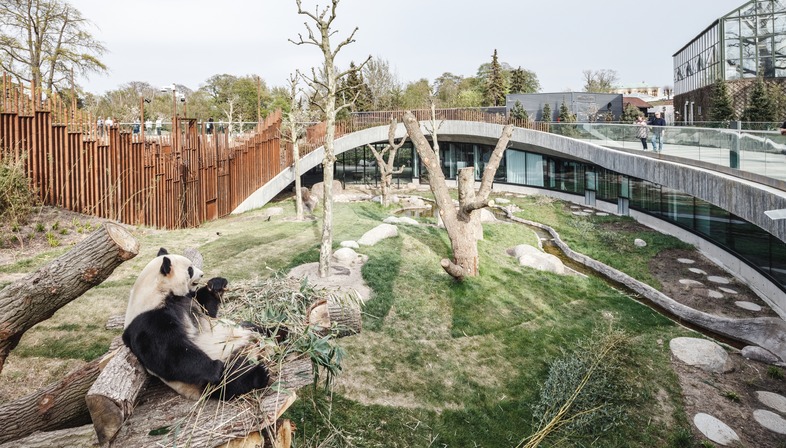 Bambusschalungen für das Panda-Haus Yin und Yang von BIG
