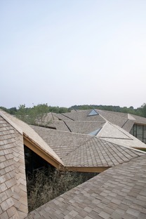 Forest Building aus Schichtholz, Erde und Beton von TAO
